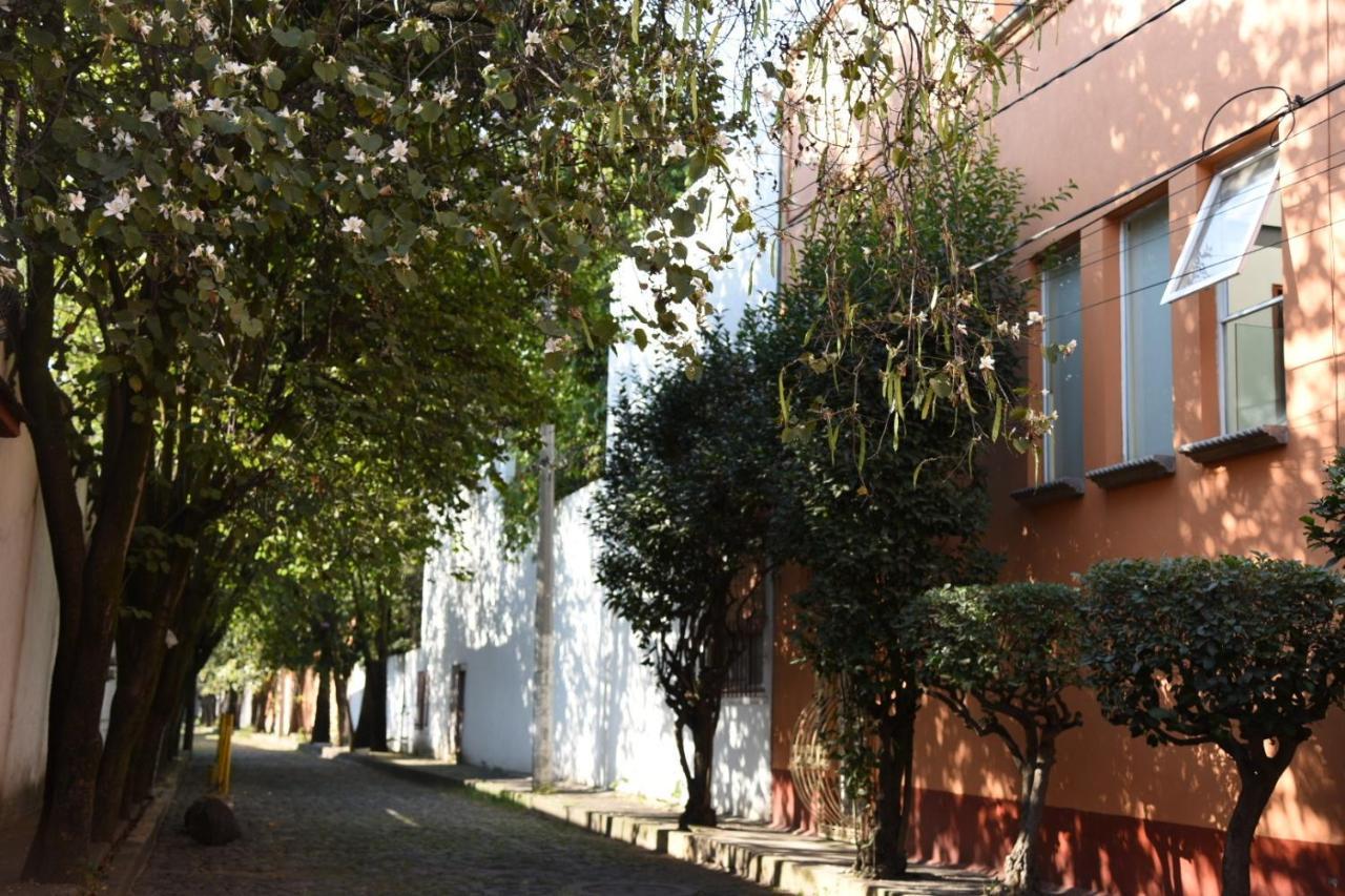 Casa Lulu Coyoacan Alvaro Obregon Luaran gambar