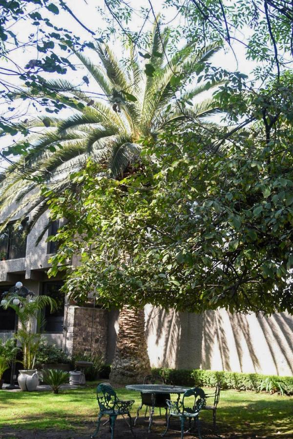 Casa Lulu Coyoacan Alvaro Obregon Luaran gambar